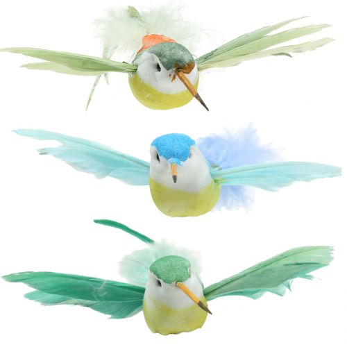 Floristik24 Surtido Kolibri en el clip 17cm 12pcs