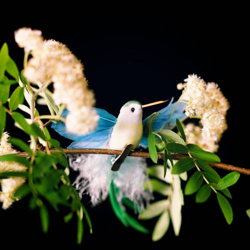 Floristik24 Surtido Kolibri en el clip 17cm 12pcs