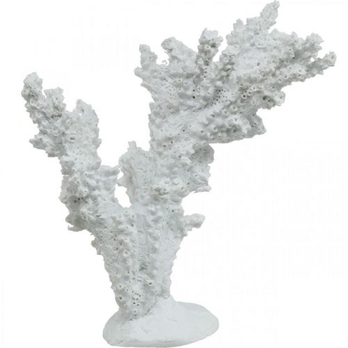 Floristik24 Decoración marítima coral blanco decoración artificial stand 11×12cm