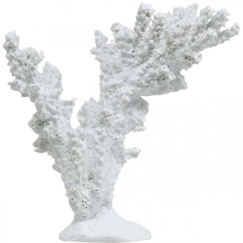 Floristik24 Decoración marítima coral blanco decoración artificial stand 11×12cm