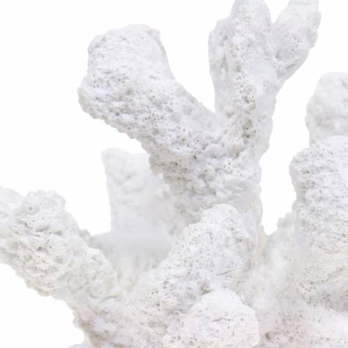 Floristik24 Coral yeso blanco H11cm 2pcs