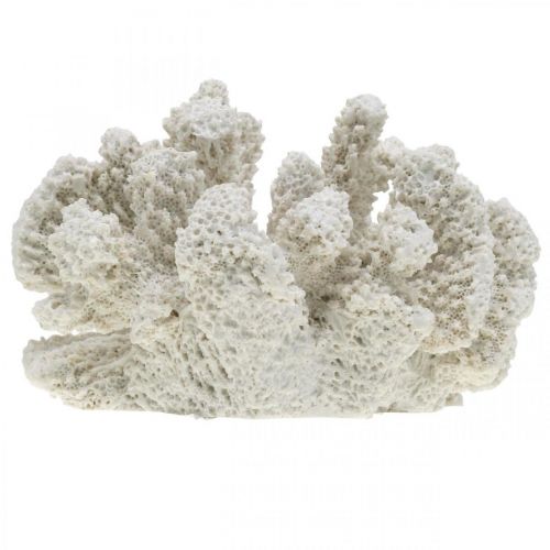Floristik24 Decoración marinera poliresina artificial blanca coral pequeña 13,5x12 cm