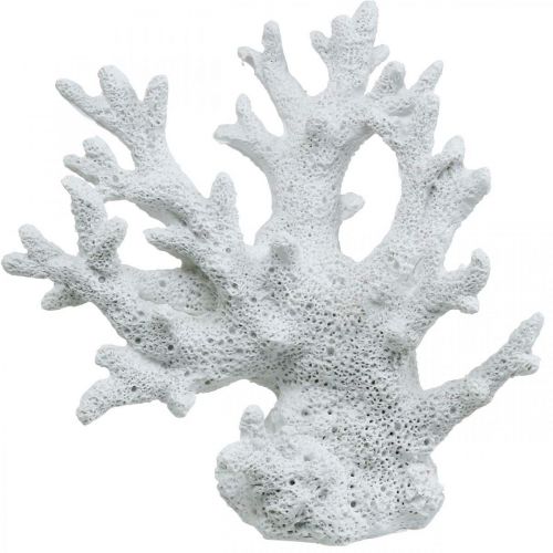 Floristik24 Decoración marinera coral blanco decoración de verano 14,5×14,5cm