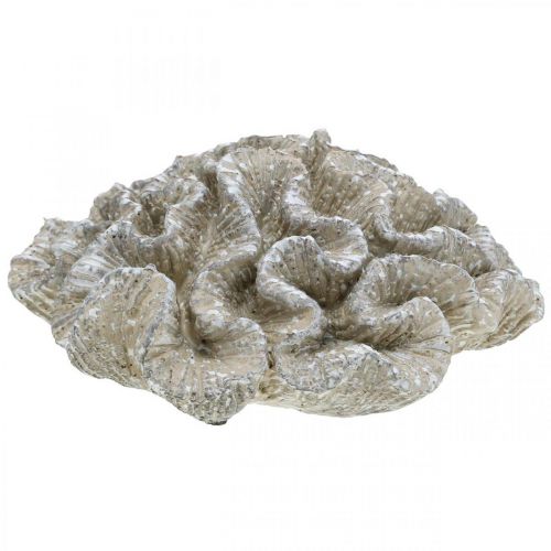 Artículo Decoración marinera poliresina artificial coral beige blanco 23x20cm