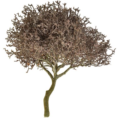 Floristik24 Rama De Coral Plantas Artificiales Escarchadas Decoración De Invierno Ø23cm