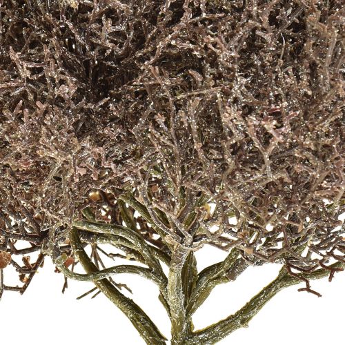 Artículo Rama De Coral Plantas Artificiales Escarchadas Decoración De Invierno Ø23cm