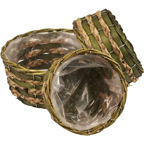Floristik24 Cesto macetero trenzado verde 30×24/26×20/22×15cm juego de 3