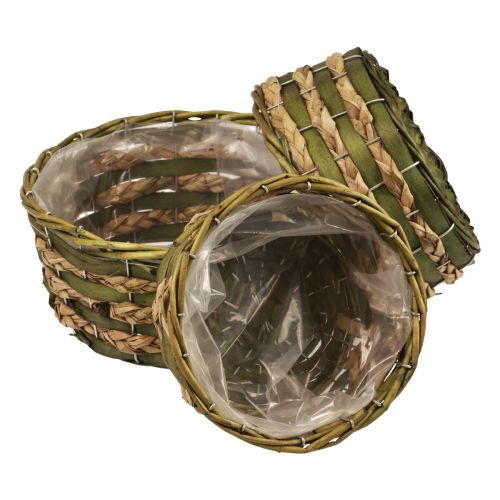 Floristik24 Cesta macetero redonda trenzada madera verde Ø26/21/18cm juego de 3
