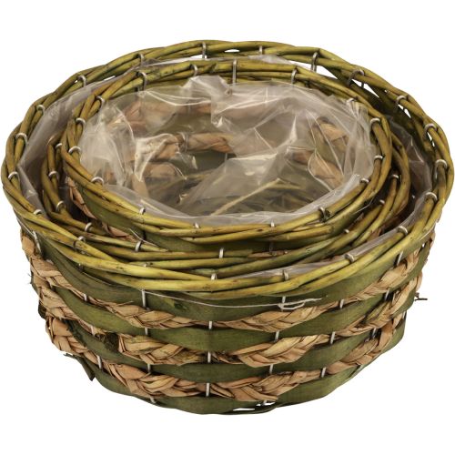 Floristik24 Cesta macetero redonda trenzada madera verde Ø26/21/18cm juego de 3