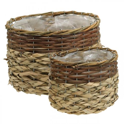 Artículo Cesta de mimbre Cuenco para plantas de mimbre natural Natural L30/22cm H20/17cm Juego de 2