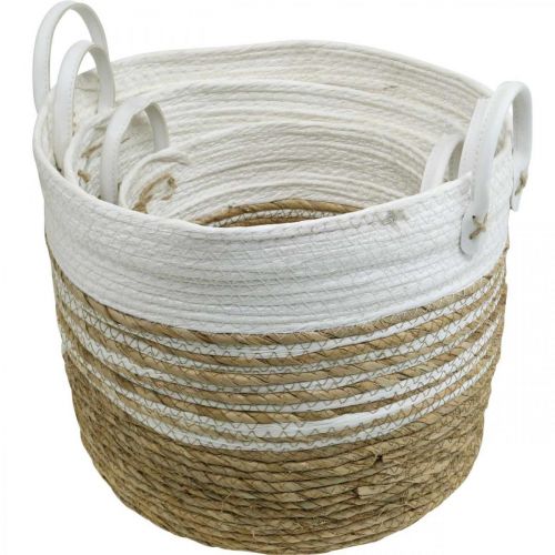 Floristik24 Cesta para plantar, utensilio con asas, organizador blanco, natural Ø32/28/23cm H30/25/19cm juego de 3