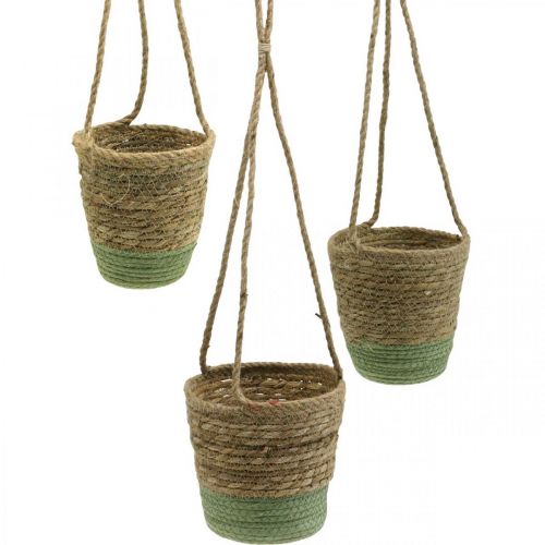 Floristik24 Cesta colgante, cesta natural, macetero para colgar natural, verde Ø19/17/15cm juego de 3