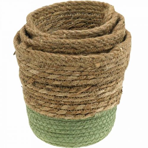 Artículo Cesta colgante, cesta natural, macetero para colgar natural, verde Ø19/17/15cm juego de 3