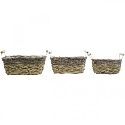 Artículo Cesta para plantas con asas, cuenco de cesta cuadrado, macetero natural para plantar shabby chic blanco lavado L30/25,5/21 cm H12/11/10 cm juego de 3