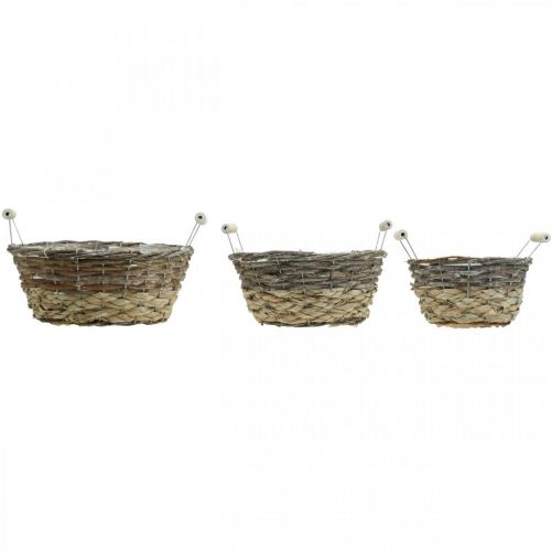 Artículo Cesta para plantas con asas, recipiente decorativo para Pascua, cesta natural, shabby chic blanco lavado Ø28/24/19cm H12/11/10cm juego de 3