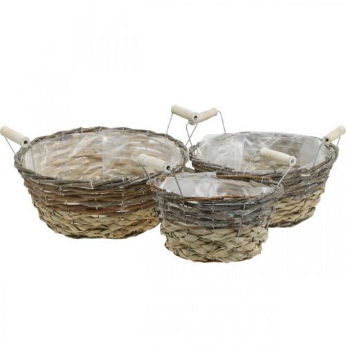 Artículo Cesta para plantas con asas, recipiente decorativo para Pascua, cesta natural, shabby chic blanco lavado Ø28/24/19cm H12/11/10cm juego de 3