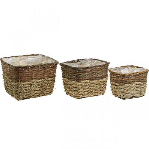 Artículo Cesta de plantas, recipiente natural para plantar, cuenco de flores cuadrado natural L29,5/26/23cm H21/19/16cm juego de 3