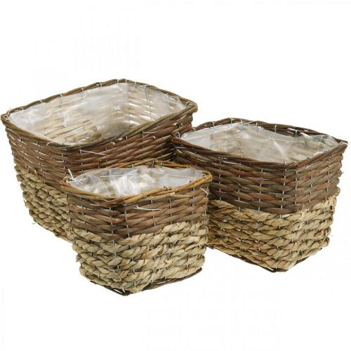 Artículo Cesta de plantas, recipiente natural para plantar, cuenco de flores cuadrado natural L29,5/26/23cm H21/19/16cm juego de 3