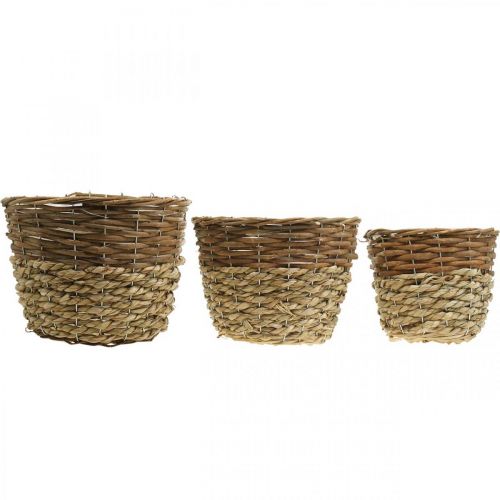 Artículo Cesta de flores para plantar, jardinera, cesta de mimbre naturaleza Ø27/25/20cm H20/18/17cm juego de 3