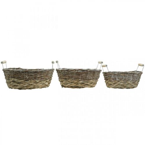 Artículo Cesta natural para plantar, cesta con asas, macetero shabby chic blanco lavado L31/27,5/24cm H12/11,5/10cm juego de 3