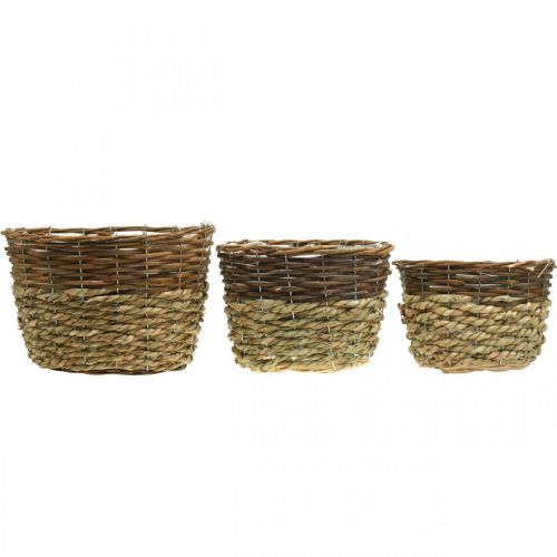 Artículo Cesta natural para plantar, decoración de cestas, cuencos para plantas natural L21/19/16cm H21/19/16cm juego de 3