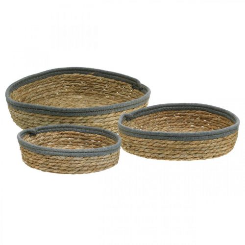 Artículo Bandeja de cesta redonda, cuenco de plantas naturales, bandeja decorativa naturaleza trenzada Ø33/30/25cm H8/7cm juego de 3