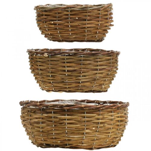 Floristik24 Cesta cuenco cesta de plantas naturales cesta de mimbre Ø21,5/26/Ø31cm juego de 3