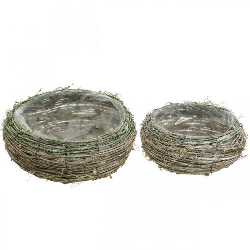 Floristik24 Cesta para plantas enredadera bicolor redonda, madera Ø18 / 25cm, juego de 2