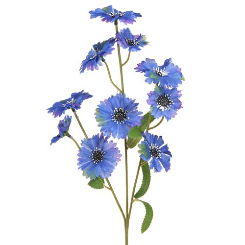 Floristik24 Flores artificiales de aciano en azul, 55 cm, 6 unidades