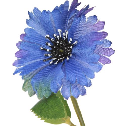 Floristik24 Flores artificiales de aciano en azul, 55 cm, 6 unidades
