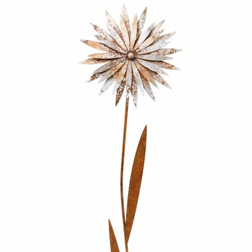 Floristik24 Tapón de jardín pátina aciano metal blanco Ø18cm H88cm