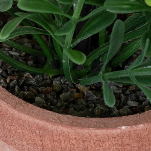 Artículo Planta artificial en maceta con textura realista para uso interior y decoración, 18cm, 3 piezas