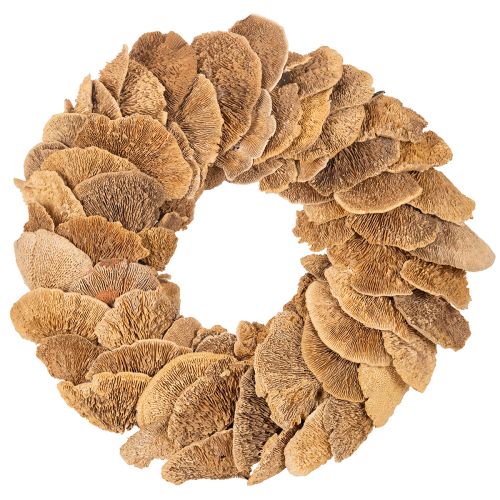 Corona de hongos de árbol, color natural, para decoración de puertas o paredes, 37 cm. comprar | Floristik24.es