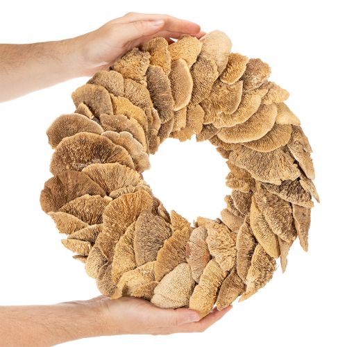Corona de hongos de árbol, color natural, para decoración de puertas o paredes, 37 cm. | Floristik24.es