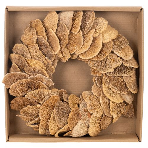 Corona de hongos de árbol, color natural, para decoración de puertas o paredes, 37 cm. | Floristik24.es