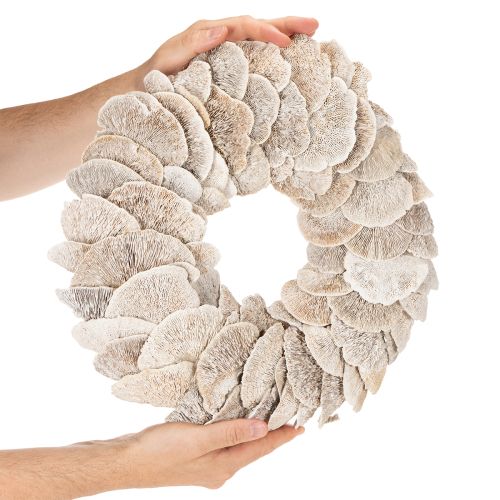 Árbol de corona de esponja natural para decoración, 37 cm. | Floristik24.es