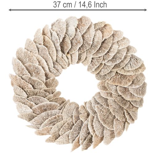Árbol de corona de esponja natural para decoración, 37 cm. | Floristik24.es