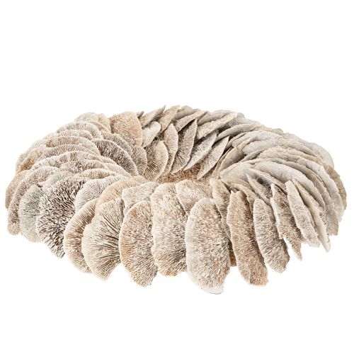 Árbol de corona de esponja natural para decoración, 37 cm. | Floristik24.es