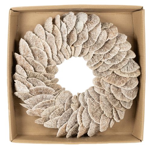 Árbol de corona de esponja natural para decoración, 37 cm. | Floristik24.es