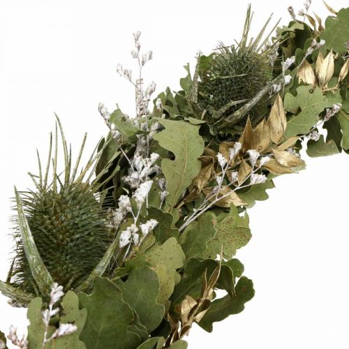 Artículo Corona navideña corona seca tarjeta de roble cardo Ø45cm