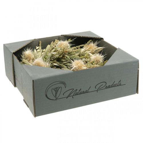 Floristik24 Corona de flores secas tarjeta cardo hierba grano Ø28cm