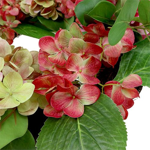 Floristik24 Guirnalda hortensias Ø60cm verde, rosa 1p