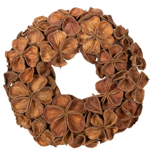 Corona de loto seco, corona decorativa para puerta, 35 cm comprar | Floristik24.es