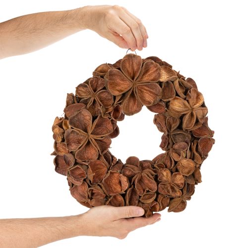 Corona de loto seco, corona decorativa para puerta, 35 cm | Floristik24.es