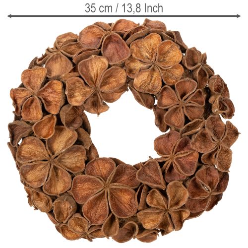 Corona de loto seco, corona decorativa para puerta, 35 cm | Floristik24.es