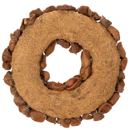 Corona de loto seco, corona decorativa para puerta, 35 cm | Floristik24.es