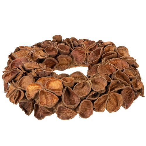 Corona de loto seco, corona decorativa para puerta, 35 cm | Floristik24.es