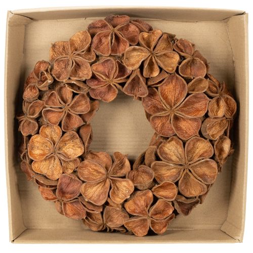 Corona de loto seco, corona decorativa para puerta, 35 cm | Floristik24.es