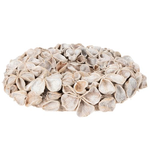 Corona con flores de loto, decoración natural, flores secas, 35 cm | Floristik24.es
