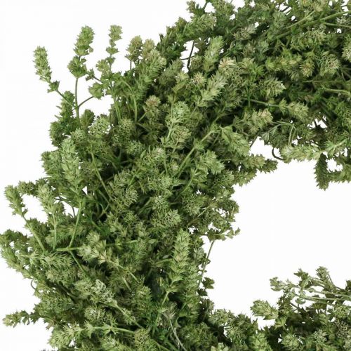 Floristik24 Corona navideña corona de flores secas verdes hierba de lino Ø34cm
